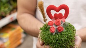 Mittel (close up hands holding house plant) min